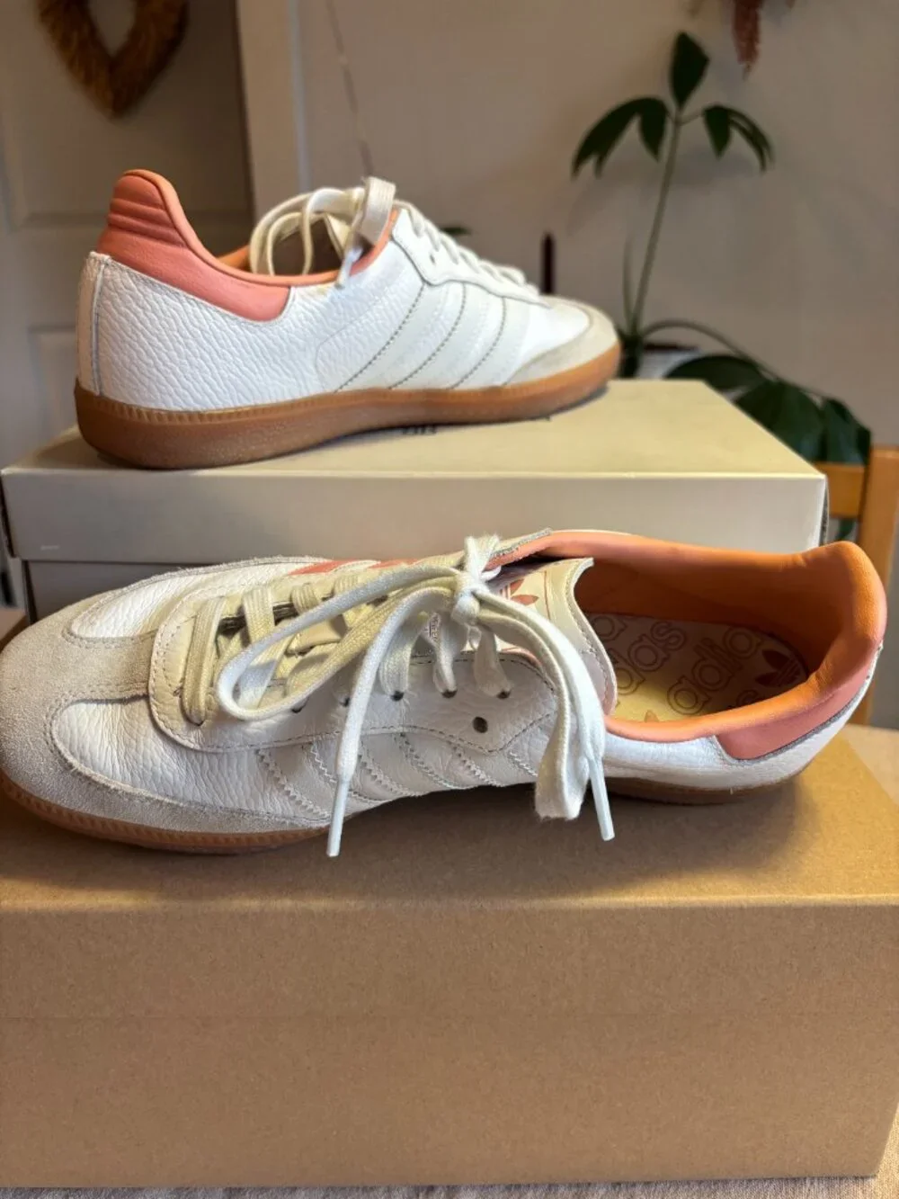 Adidas Samba in Rose & White - Picture 4 of 5